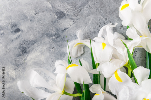 Fototapeta Naklejka Na Ścianę i Meble -  Bouquet of Beautiful Iris Flowers