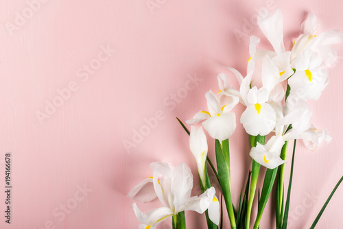 Fototapeta Naklejka Na Ścianę i Meble -  Bouquet of Beautiful Iris Flowers