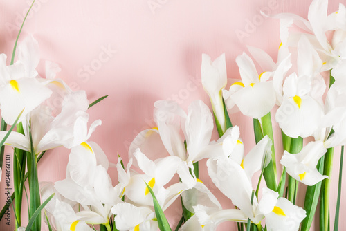 Fototapeta Naklejka Na Ścianę i Meble -  Bouquet of Beautiful Iris Flowers