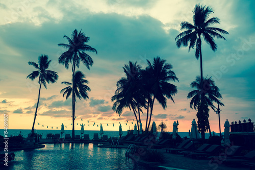 Palm trees silhouettes on a tropical sea beach during sunset.