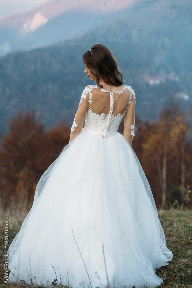 Beautiful bride in a rich dress poses on the mountain hill