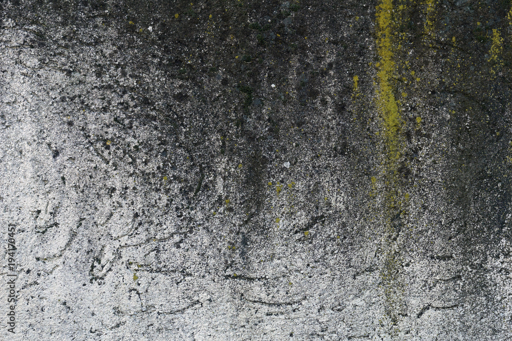 Fototapeta premium Mould cement wall background.