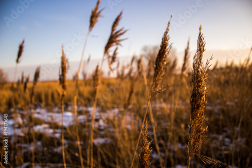 Strand mit Naturpur