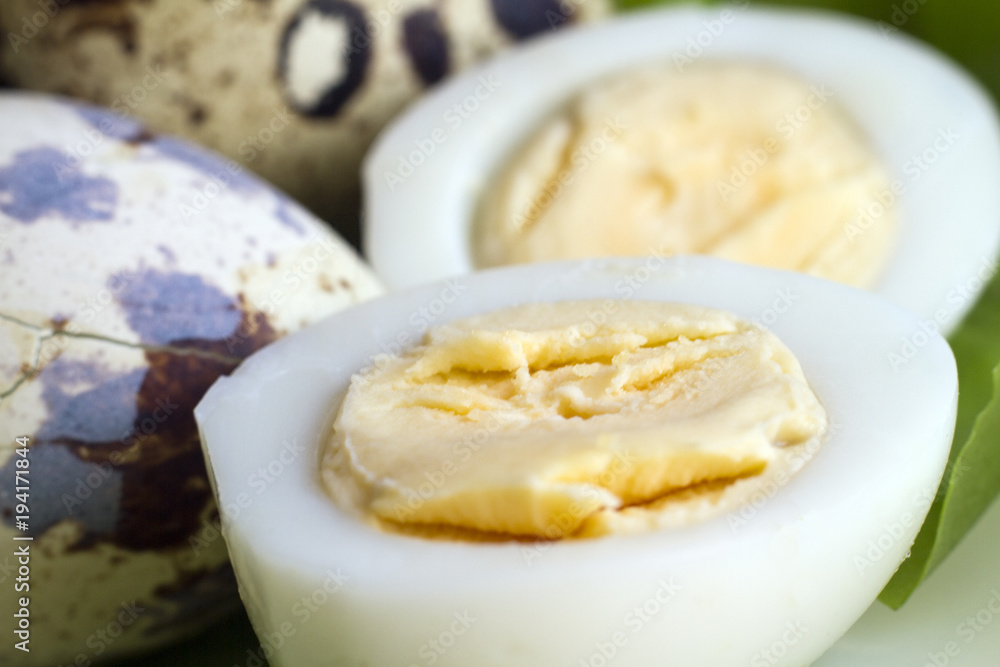 quail egg quail egg