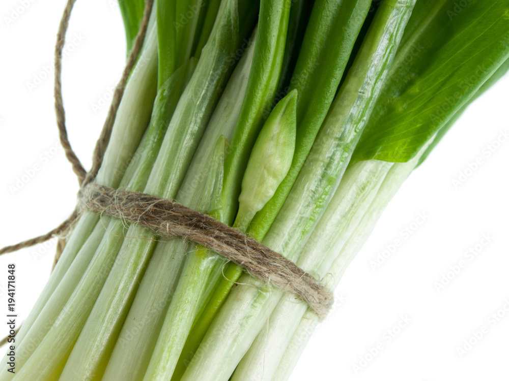 Fototapeta premium Ramson bunch vegetable isolated on white background