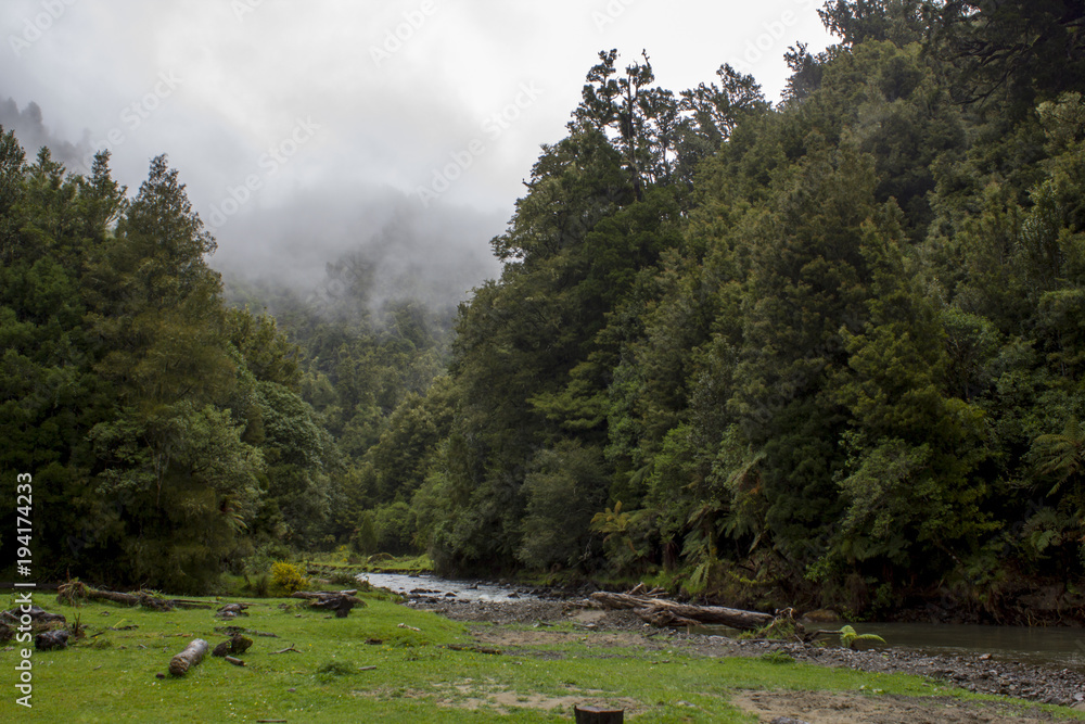 Scenic landscape in North Island, New Zealand