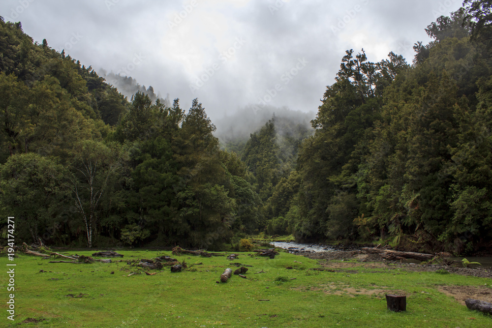 Foggy Forest and beautiful river landscape Foggy Forest and beautiful river landscape