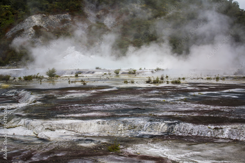 Geothermal activity, volcanic area and steam, Orakei Korako park, New Zealand Geothermal activity, volcanic area and steam, Orakei Korako park, New Zealand