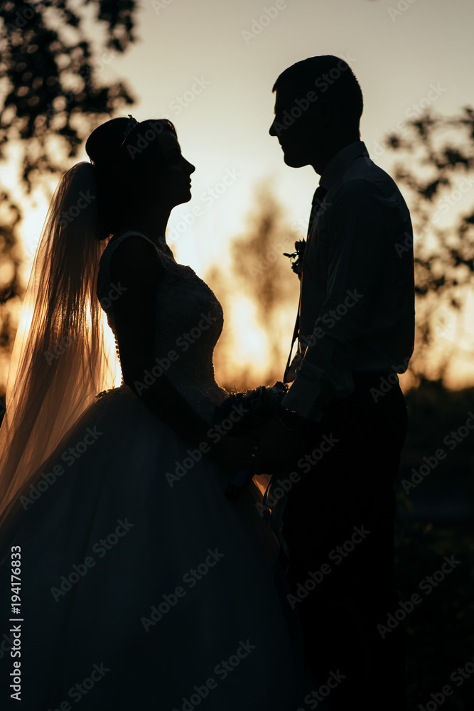 Beautiful Wedding Couple Poses on a Green Field in the Rays of Sunset Stock  Photo - Image of dress, destination: 209811172