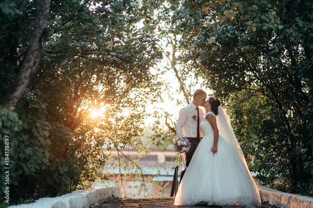 Charming young wedding couple poses among the tall trees in forest full of sunlight Charming young wedding couple poses among the tall trees in forest full of sunlight