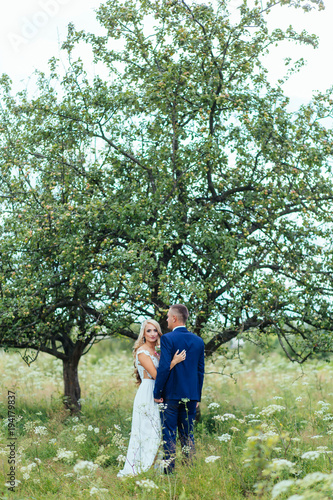 Stunning wedding couple poses on the summer field with tall grass