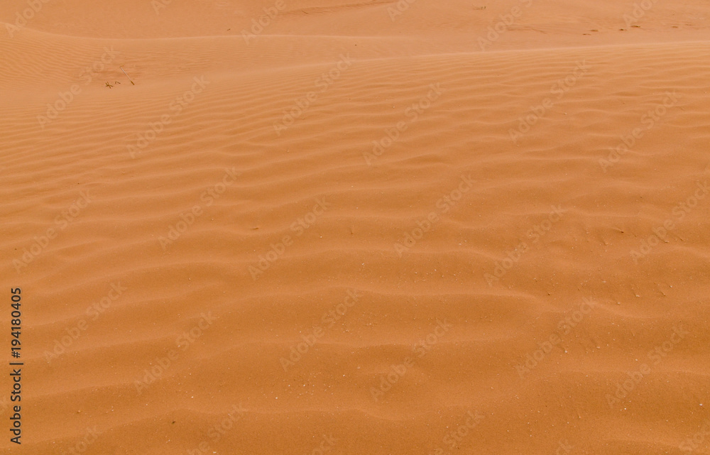 untouched yellow sand on the slopes of barchans in the desert between Kalmykia and Astrakhan region untouched yellow sand on the slopes of barchans in the desert between Kalmykia and Astrakhan region