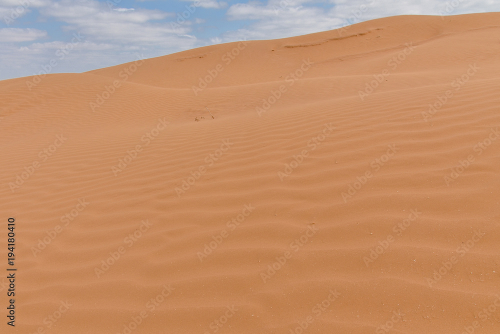 untouched yellow sand on the slopes of barchans in the desert between Kalmykia and Astrakhan region