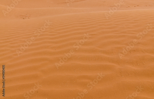 untouched yellow sand on the slopes of barchans in the desert between Kalmykia and Astrakhan region © ssmalomuzh
