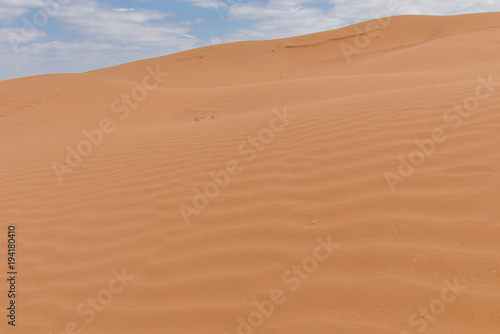 untouched yellow sand on the slopes of barchans in the desert between Kalmykia and Astrakhan region