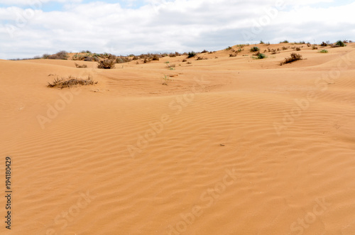 slopes of orange sand dunes in the desert Republic of Kalmykia