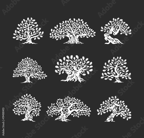 Huge and sacred oak tree silhouette logo isolated on dark background
