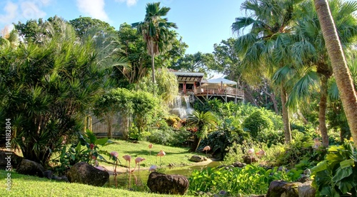 Fotografie jardin exotique et cascade de la Guadeloupe