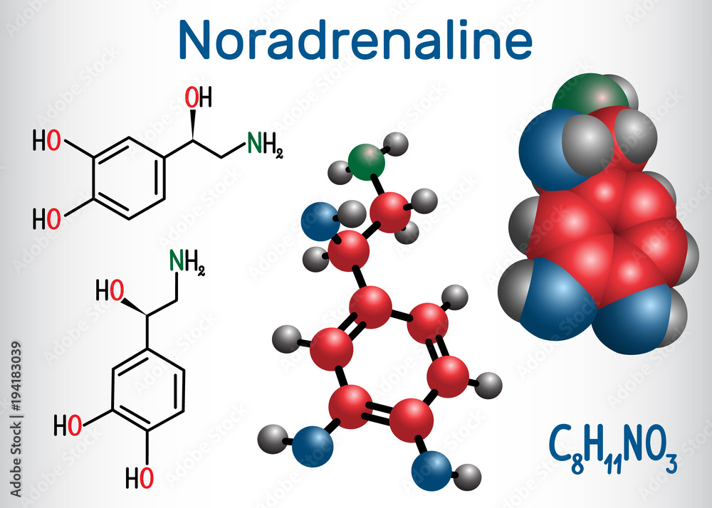 Noradrenaline (NA, norepinephrine , NE ) molecule . It is a hormone and neurotransmitter. Structural chemical formula and molecule model Noradrenaline (NA, norepinephrine , NE ) molecule . It is a hormone and neurotransmitter. Structural chemical formula and molecule model
