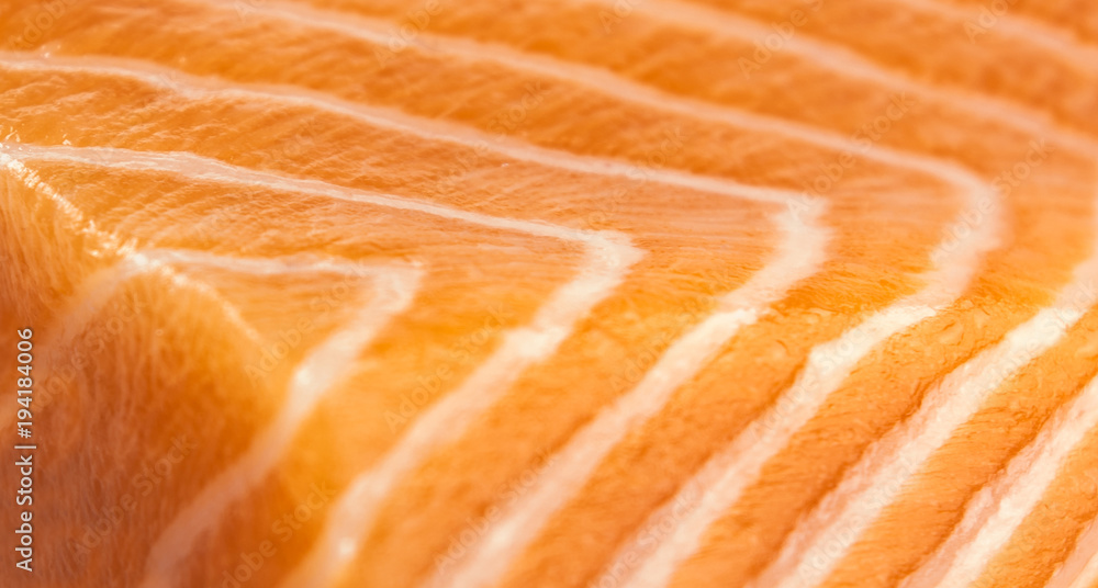 Salmon Fillet Texture