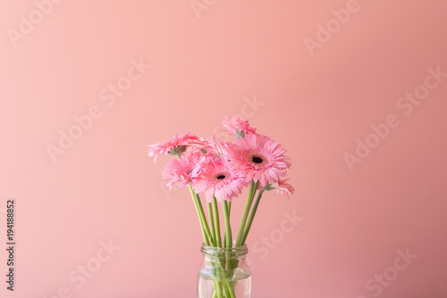 Fototapeta Naklejka Na Ścianę i Meble -  Pink gerbera daisies in glass jar against pink background