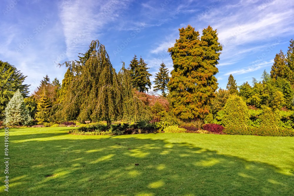 lawn of green grass with various trees and beautiful bushes in the background,