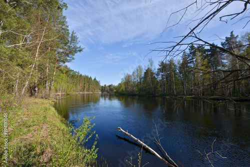 Forest river in the national park of Russia is springtime.