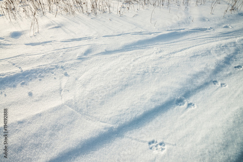 A background with dog paw traces on the fresh snow