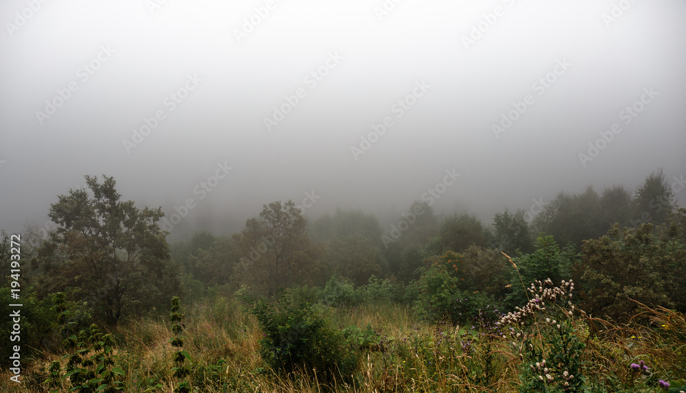Panorama of morning fog in mountains. Mysterious spring nature landscape, forest on mountain hill