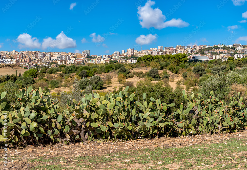 View of Agrigento town from the Temples Valley Archaeological Park, Sicily, Italy