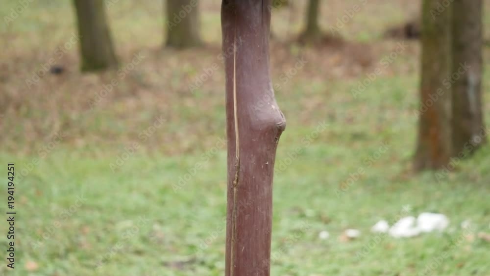 Feeders for birds in the city park Feeders for birds in the city park