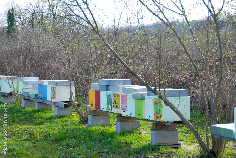 Naklejka premium Hive in a meadow