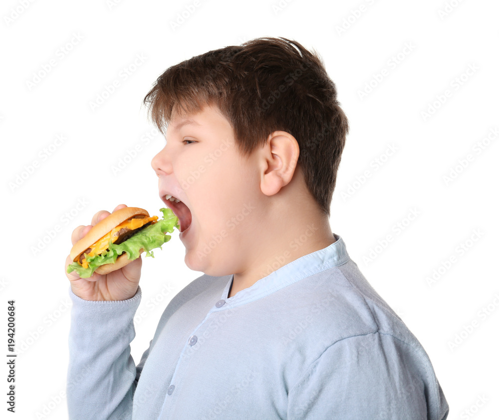Overweight boy with burger on white background Overweight boy with burger on white background