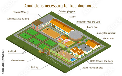 Plan info graphic territory necessary for keeping horses. Vector illustration.