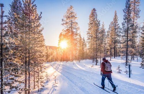 Cross-country skiing in Scandinavia at sunset