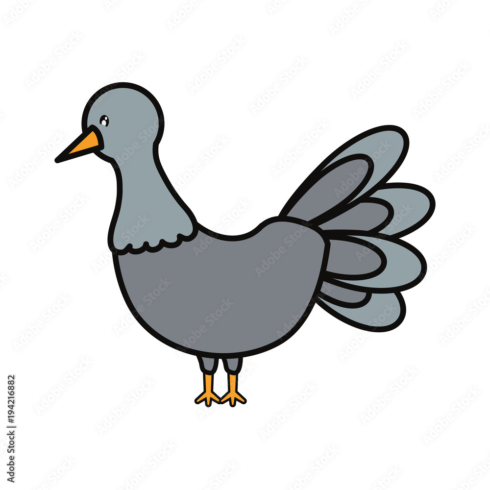 turkey vector illustration turkey vector illustration