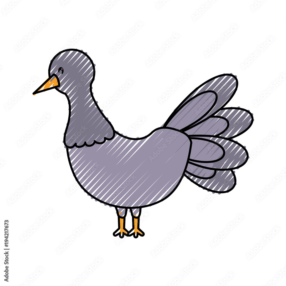 Fototapeta premium cartoon pigeon bird icon