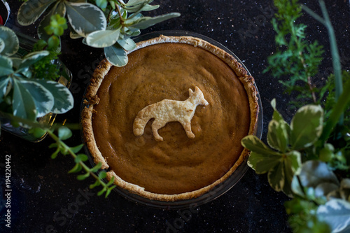 Homemade Pumpkin Pie with Fox crust cookie surrounded by foliage photo