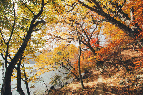 紅葉の秋 / 湖畔の木道