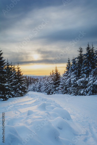 Wallpaper Mural sunrise in snowy mountains Torontodigital.ca