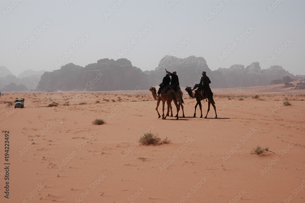 Déplacement en chameaux dans le Wadi Rum, Jordanie