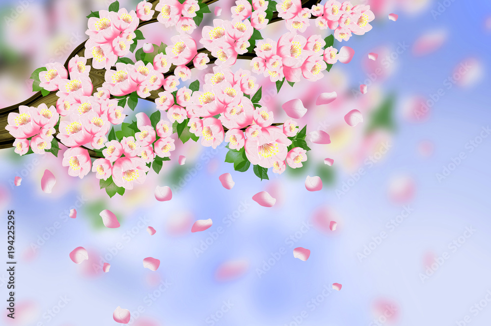 Spring background, flowers, spring Spring background, flowers, spring