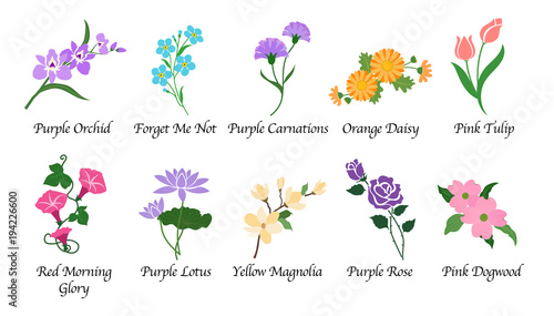 Organic nature botanic garden flower isolated vector collection set