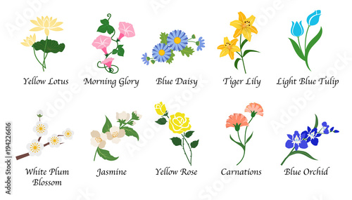 Organic nature botanic garden flower isolated vector collection set