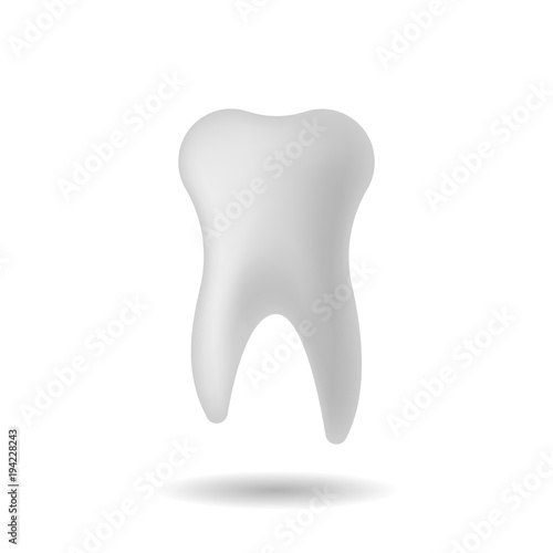 Vector image of a realistic tooth with shadows on a white background