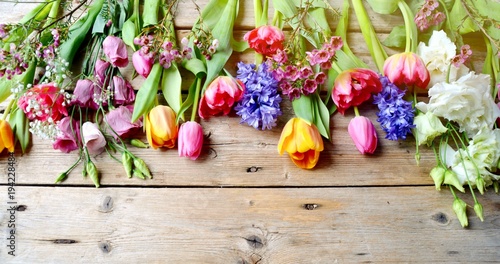 Frühlingsblumen - Blumengrü...