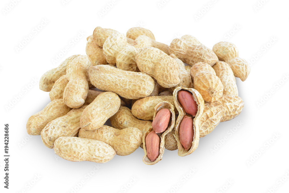 Dried Peanuts isolated on white background. This has clipping path.