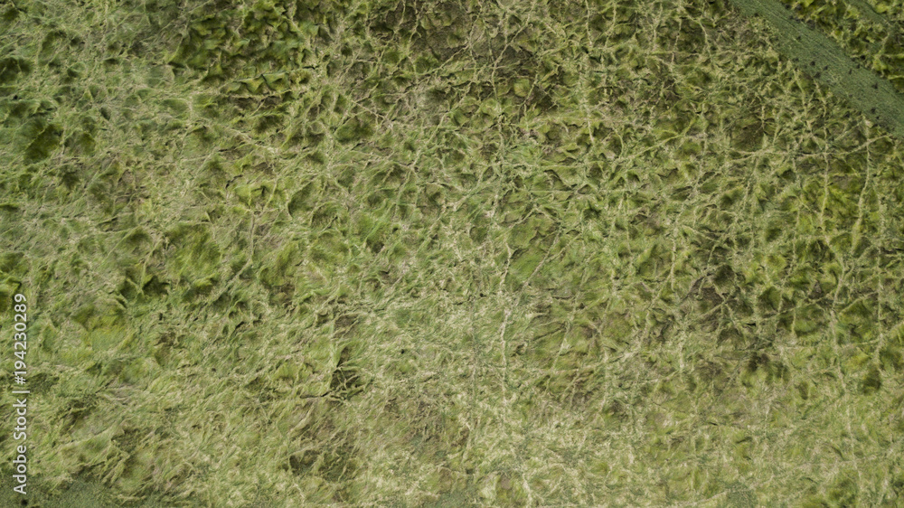 Obraz premium Country agricultural and farming field.