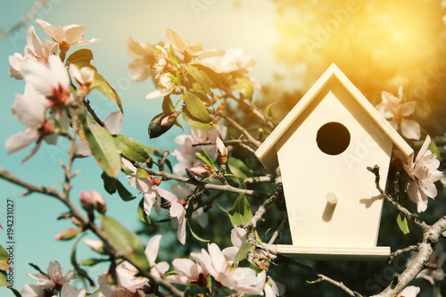 Canvas Print Little birdhouse in spring over blossom cherry tree.