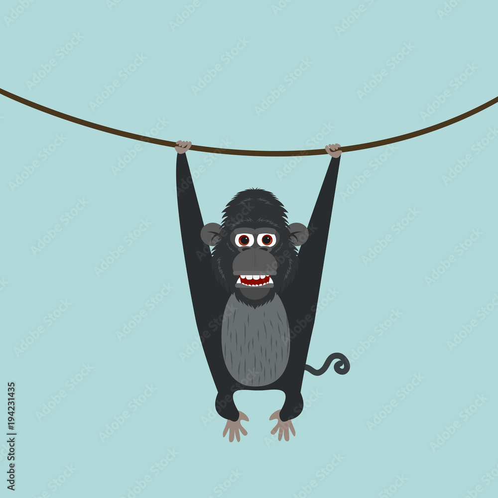 Fototapeta premium cute monkey climbing the vine